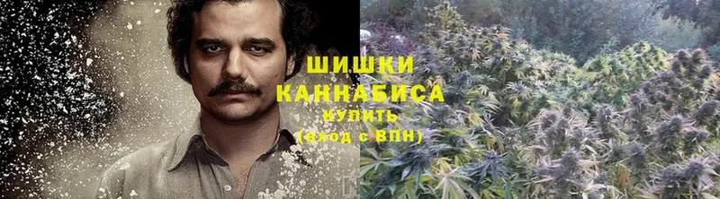 закладка  Лиски  Канабис гибрид 